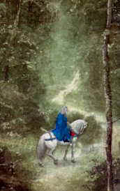CABALLO POR SENDERO.JPG (7952 bytes)